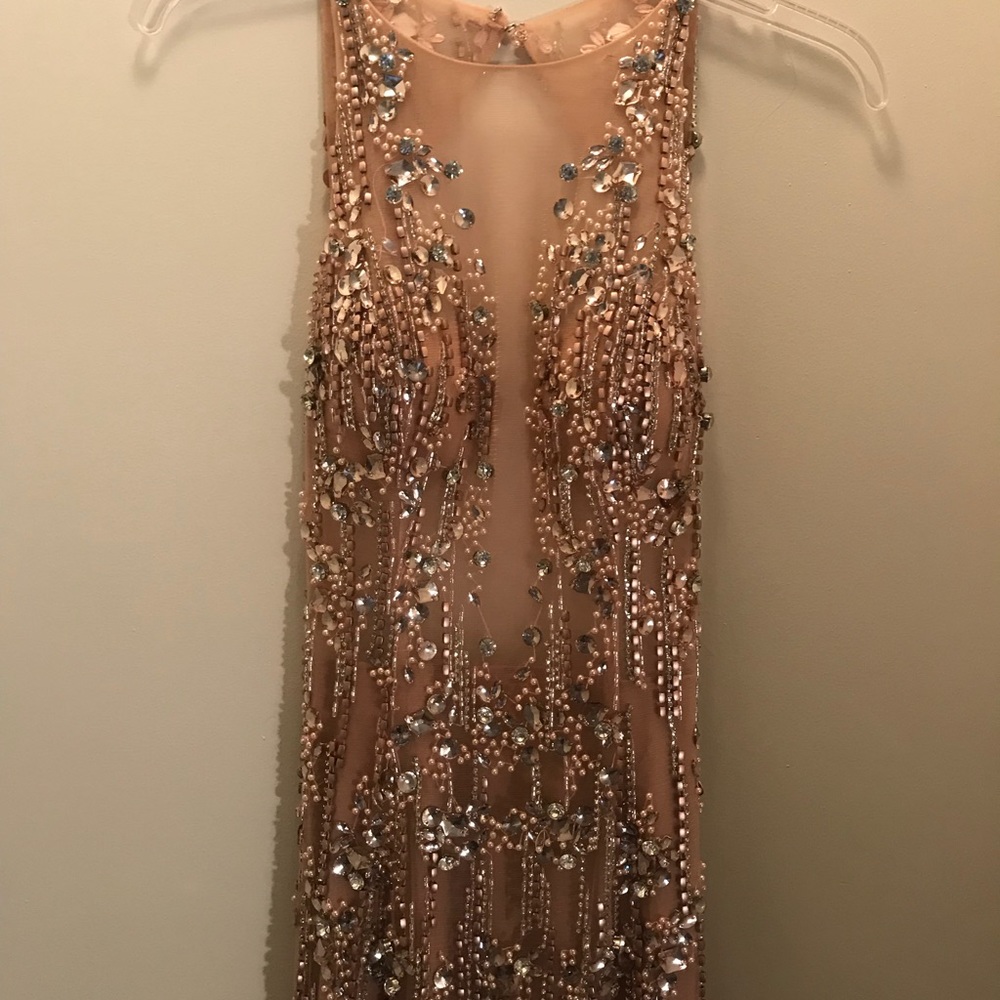 TERANI COUTURE DRESS: Color: Blush - Picture 4 of 7